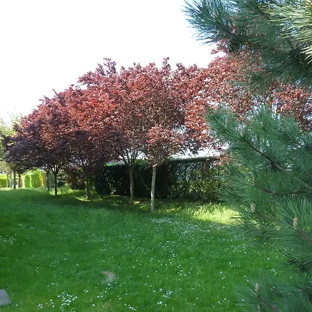 En Champagne